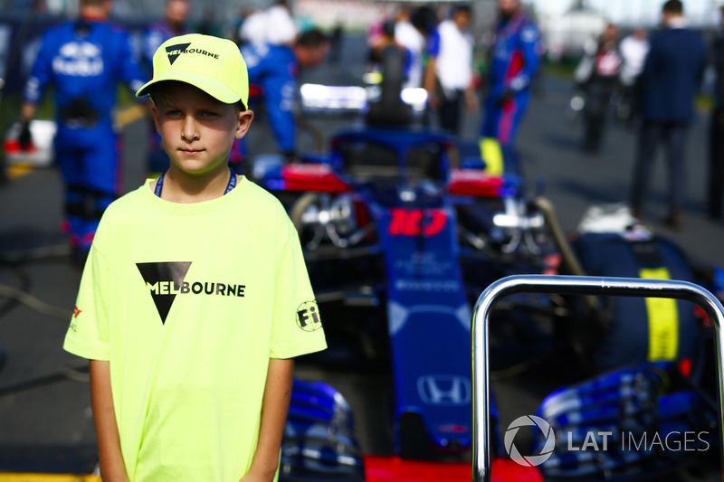 Melbourne grid maskotu, Brendon Hartley, Toro Rosso