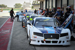 Vetture schierate sulla pitlane