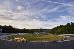 Tom Coronel, Roal Motorsport, Chevrolet RML Cruze TC1