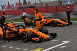 Фернандо Алонсо, Стоффель Вандорн, McLaren
