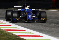 Marcus Ericsson, Sauber C36