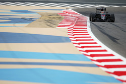 Stoffel Vandoorne, McLaren MP4-31