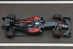 Fernando Alonso, McLaren MP4-31