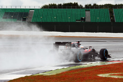 Фернандо Алонсо, McLaren MP4-31