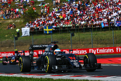 Fernando Alonso, McLaren MP4-31