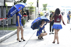 Grid Girls