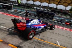 Pierre Gasly, Scuderia Toro Rosso STR12