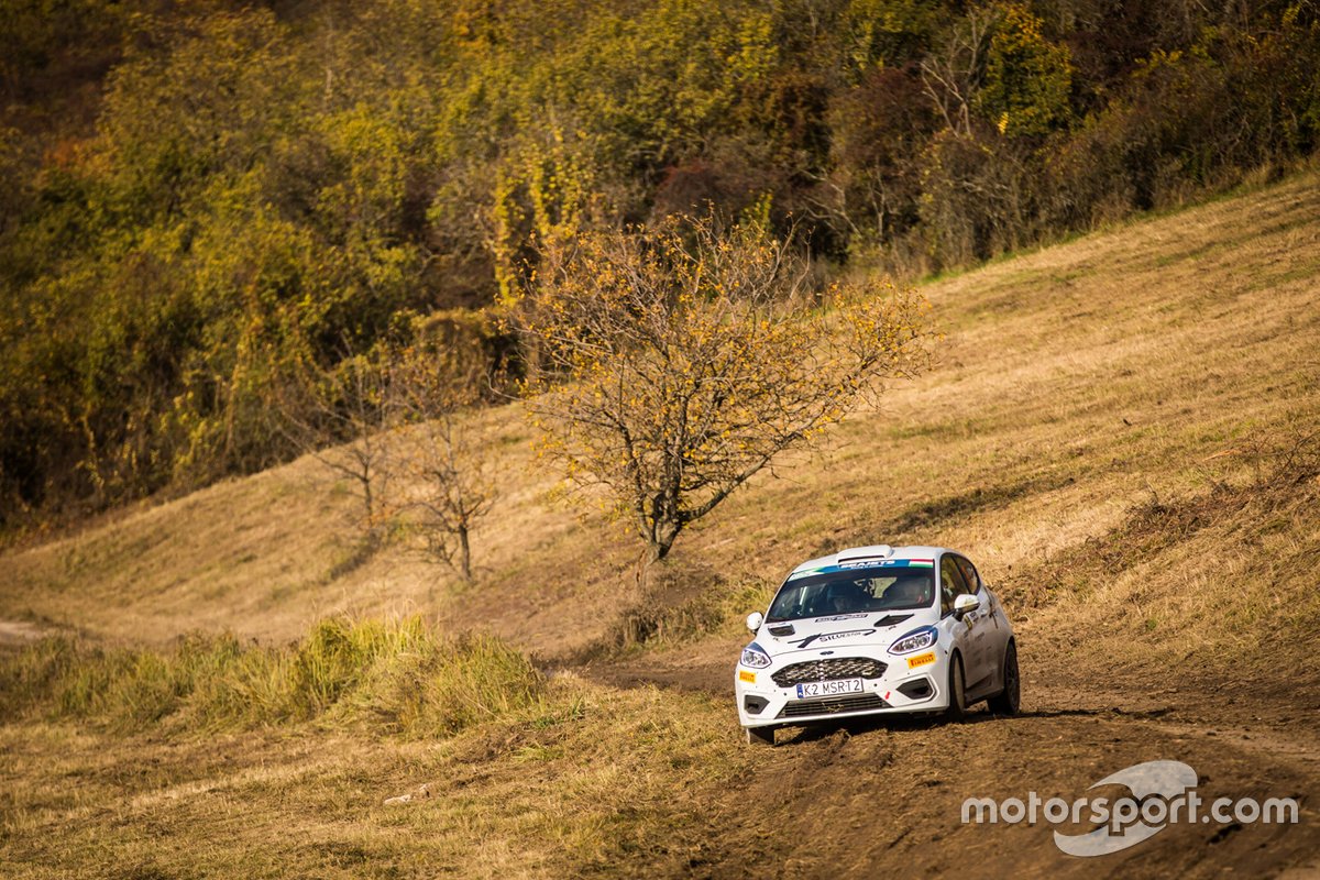 Ken Torn, Kauri Pannas, Ford Fiesta Rally4