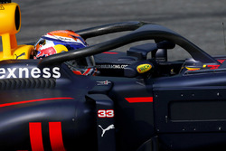 Max Verstappen, Red Bull Racing halo ile