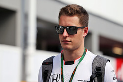 Стоффель Вандорн, резервний та тест-пілот McLaren
