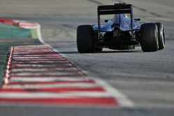 Max Verstappen, Scuderia Toro Rosso STR11