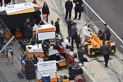 Fernando Alonso, Andretti Autosport, Honda