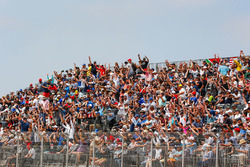 Fans