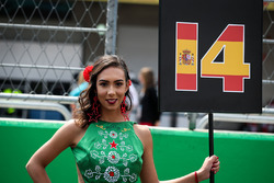 Grid girl