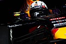Vettel does not need friends in F1 - Marko Vettel does not need friends in F1 - Marko