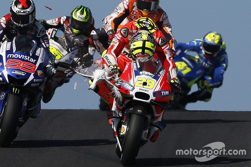 Iannone dedica il casco dei test al gabbiano abbattuto