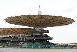 Max Verstappen, Scuderia Toro Rosso STR10,
