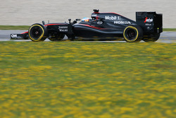 Fernando Alonso, McLaren MP4-30