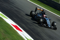 Nico Hulkenberg, Sahara Force India F1 VJM08