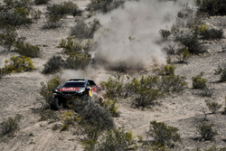 #303 Peugeot: Carlos Sainz, Lucas Cruz