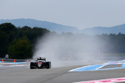 Stoffel Vandoorne, McLaren MP4-30