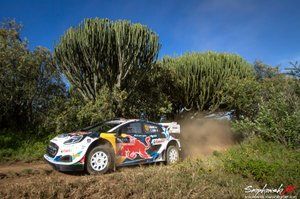 Munster zebrał pochwały