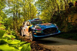 Puma trudna do zrozumienia