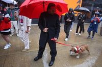 Hamilton se despide de su perro Roscoe: "La decisi&oacute;n m&aacute;s dif&iacute;cil de mi vida"