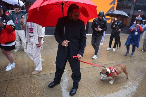 F1: Hamilton 'abre mão' de teste da Pirelli para ficar com Roscoe e Zhou assume