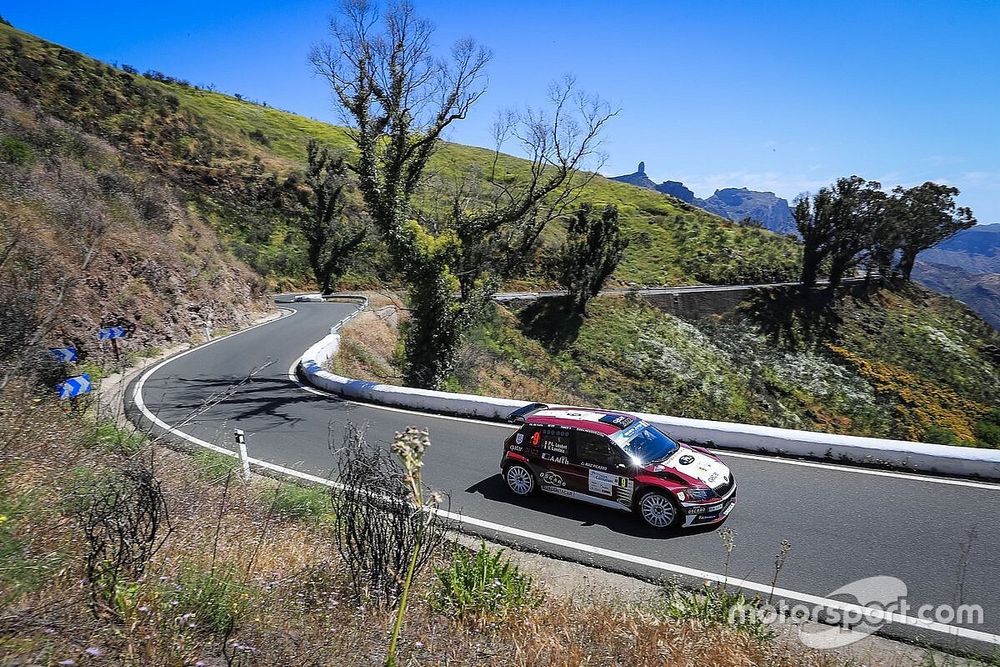 Pierre-Louis Loubet, Vincent Landais, skoda Fabia R5, FIA ERC, Rally Islas Canarias