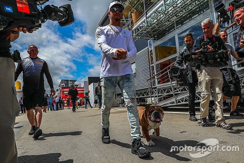 Lewis Hamilton, Mercedes AMG F1 y su perro Roscoe