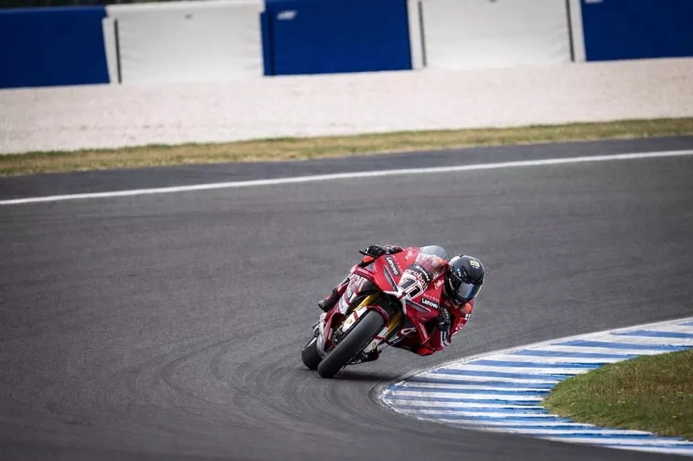 Bulega