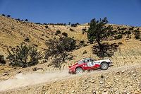 Molgo i Marton nie chcą przeszarżować