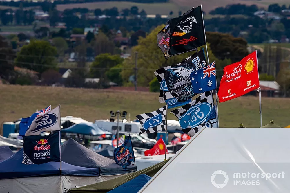 Fans flags