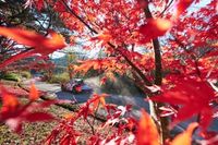 Horarios del Rally de Jap&oacute;n del WRC 2025, recorrido y c&oacute;mo ver