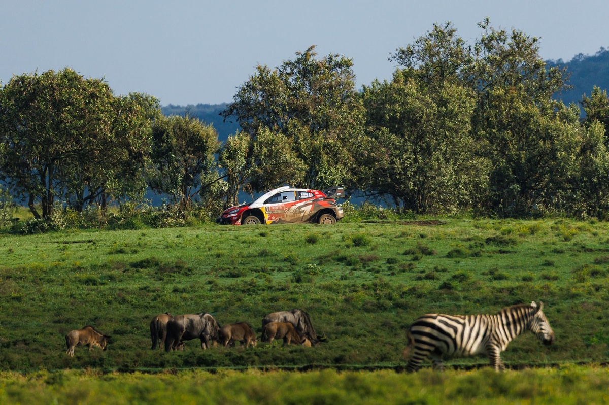 El WRC trabaja para garantizar el futuro del Rally Safari de Kenia más allá de 2026