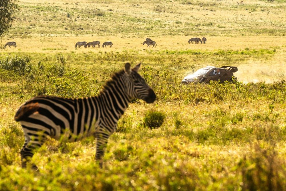 Elfyn Evans, Scott Martin, Toyota Gazoo Racing WRT Toyota GR Yaris Rally1
