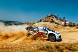 Pajari spokojny przed Akropolem