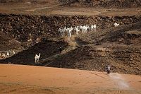 Branch se aferra a la victoria en el Dakar 2024 contra las Honda