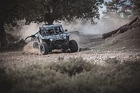 Polacy w mitycznej Troi