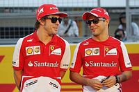 Massa sceptycznie o powrocie Alonso