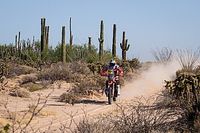 Sanders hace de l&iacute;der y Schareina ilusiona a Espa&ntilde;a en el Sonora Rally 2023