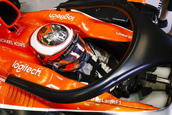 Стоффель Вандорн, McLaren, Halo