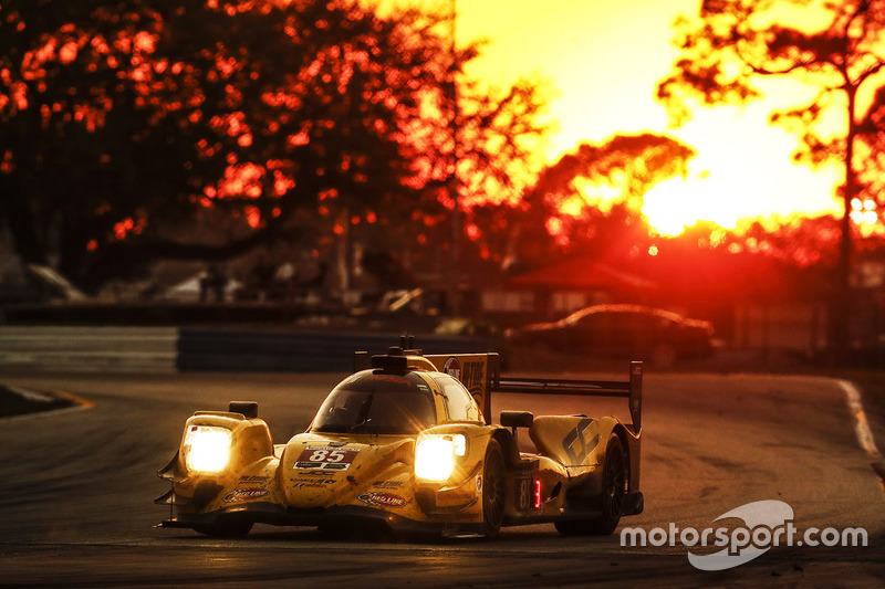 #85 JDC/Miller Motorsports ORECA 07: Mikhail Goikhberg, Chris Miller, Stephen Simpson