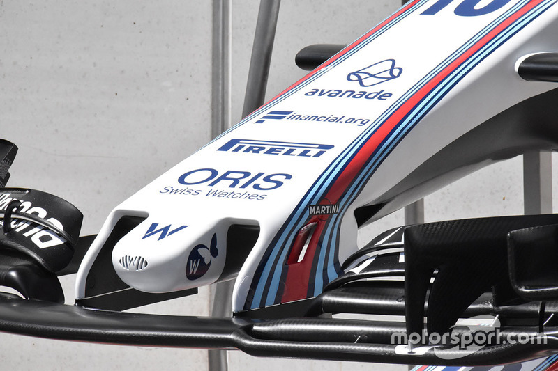 Williams FW40: Nase