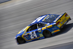 Chase Elliott, Hendrick Motorsports, Chevrolet
