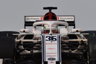 Antonio Giovinazzi, Sauber C37