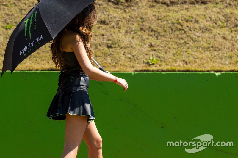Grid girl