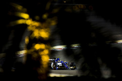 Pascal Wehrlein, Sauber C36-Ferrari