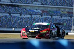 #69 HART Acura NSX GT3: Chad Gilsinger, Ryan Eversley, Sean Rayhall, John Falb